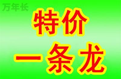 蜀山安徽省合肥市蜀山区周边墓地价格政策